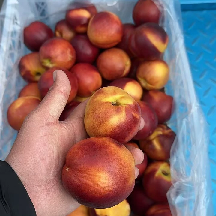 【高兴优选】智利 黄油桃 纯甜特  3斤±0.2  新鲜日期【顺丰次日达】