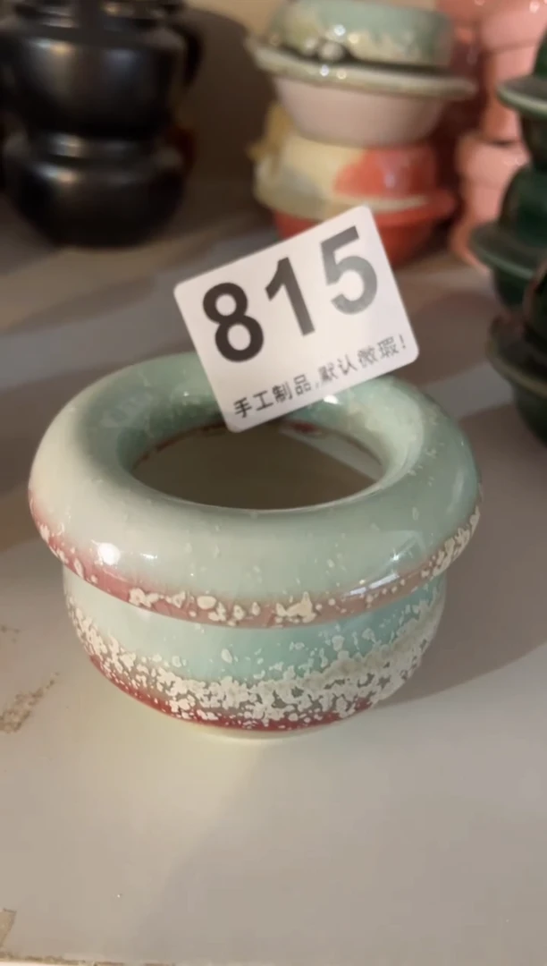 【闪购商品】摆件815小芳花盆直播编号