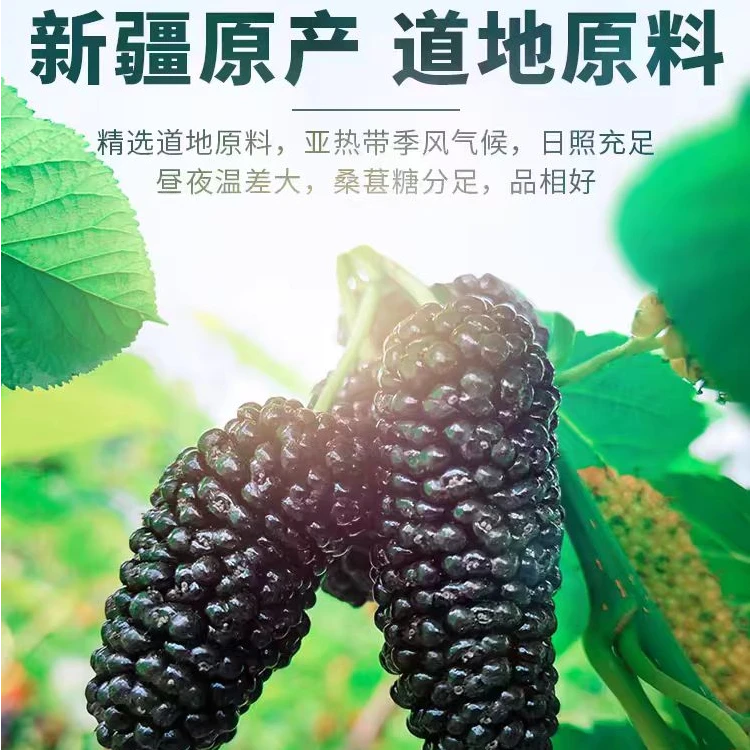 【桑葚干】新疆桑椹干无沙无硫超大肉厚产地直供人工精挑可搭黑枸杞