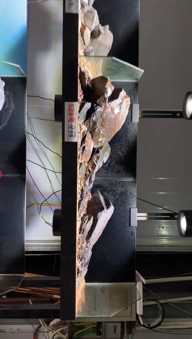 528号鱼缸造景（不含底砂）