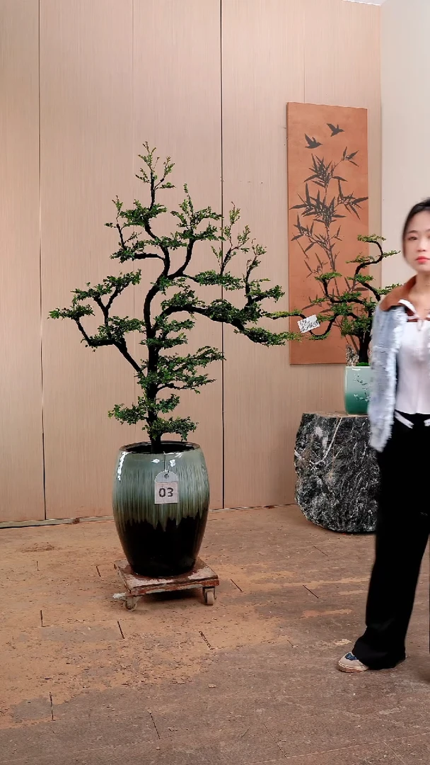 【闪购商品】广东小叶紫檀黑骨茶