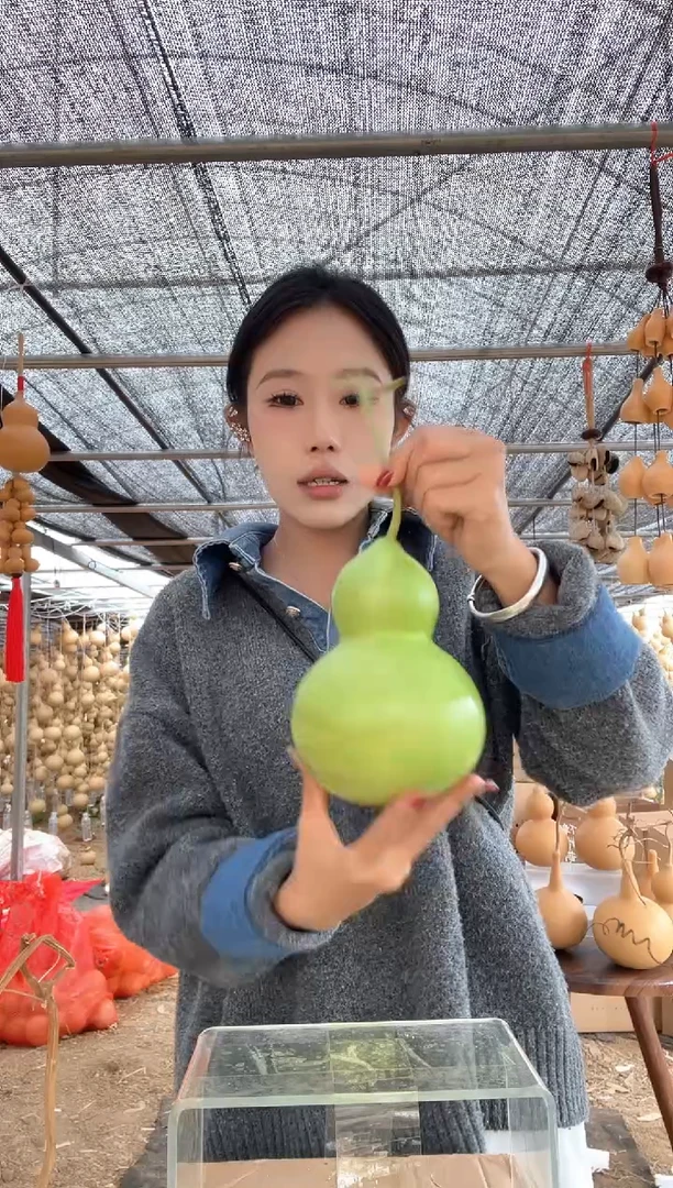 900天然葫芦摆件 一物一拍龙头不保售后