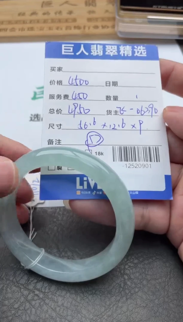 颈饰未镶嵌翡翠手镯多人-12520901