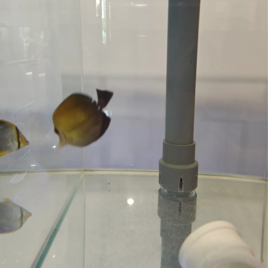 海岸线·水族 三角吊