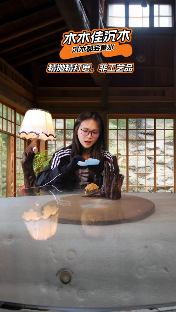 大**大木木佳沉木鱼缸造景