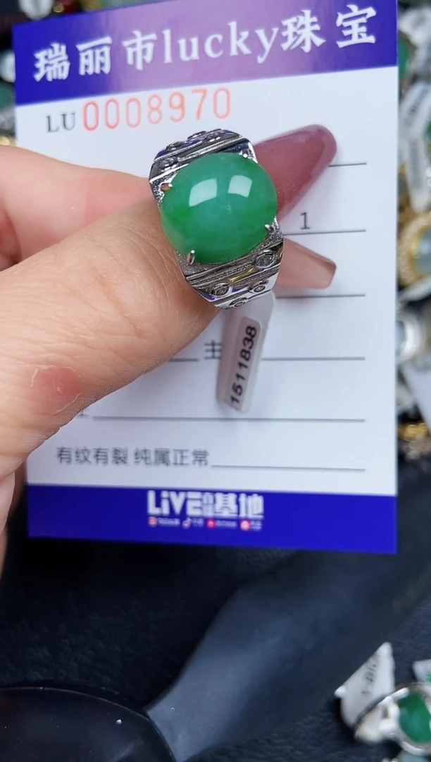 翡翠银S925镶嵌颈饰8970