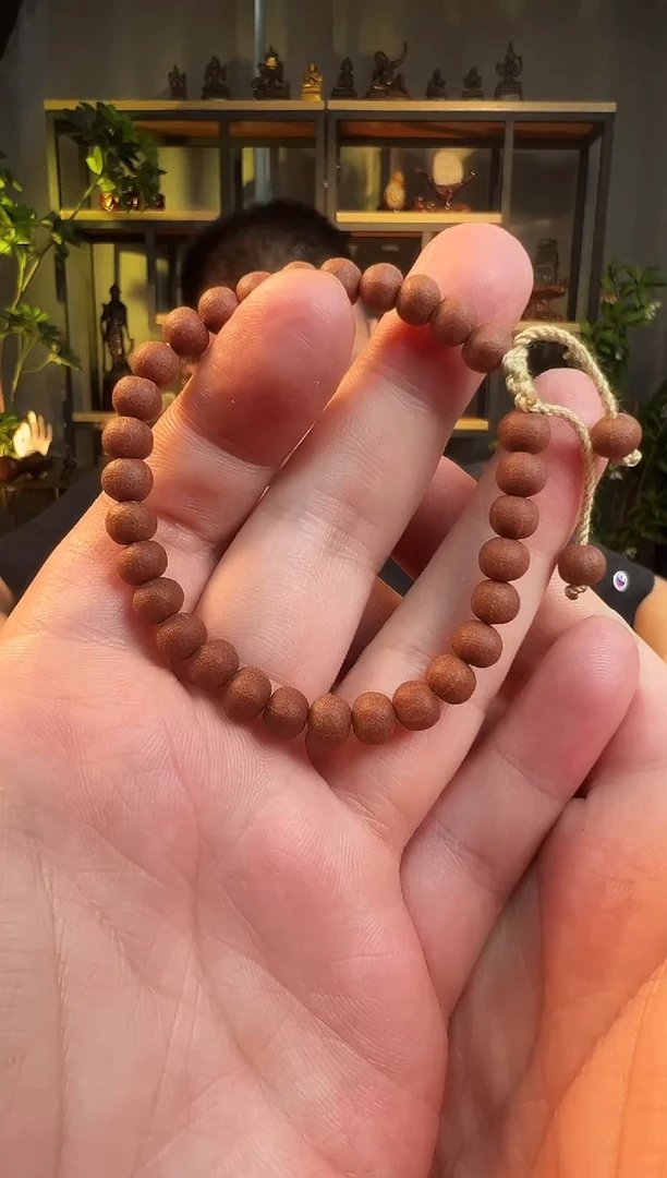 五线菩提手串6+铁五线