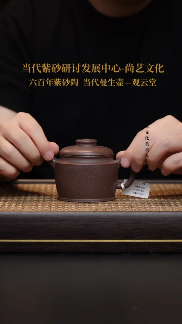 茶壶紫砂宜兴紫砂壶圈钮