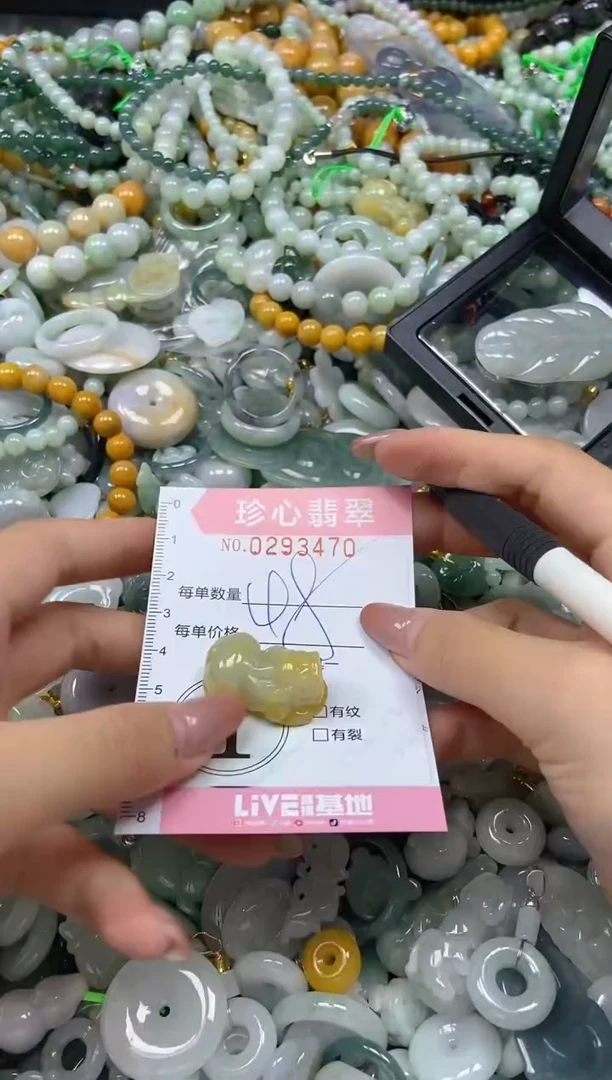 翡翠未镶嵌颈饰闪购0293470