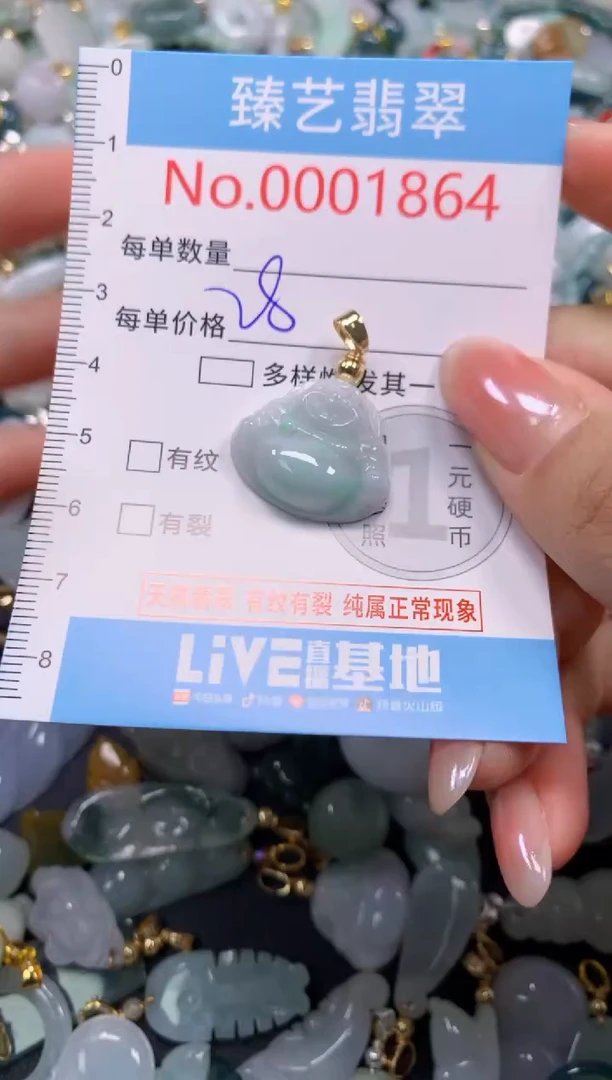 颈饰未镶嵌翡翠1864