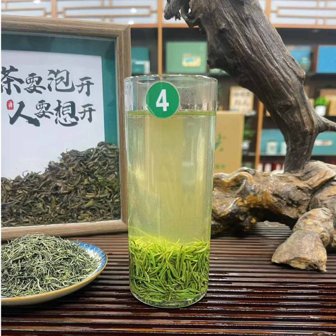 4号信阳毛尖明前小芽春茶绿茶鲜香甘甜清香花果香