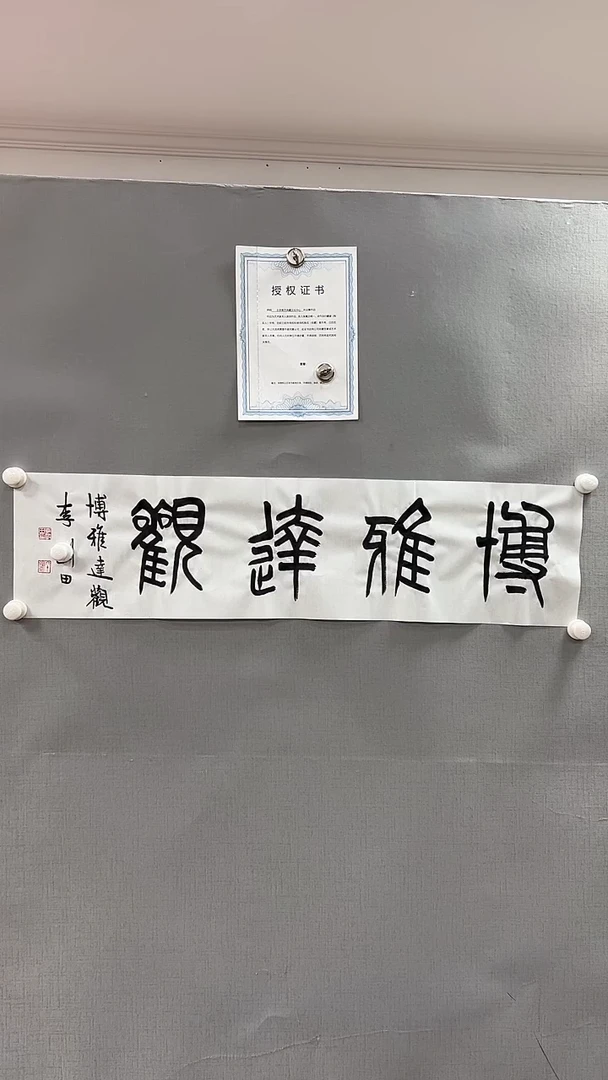【闪购商品】书法雅艺典藏文化书法
