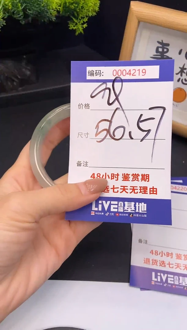 未镶嵌手镯翡翠0004219