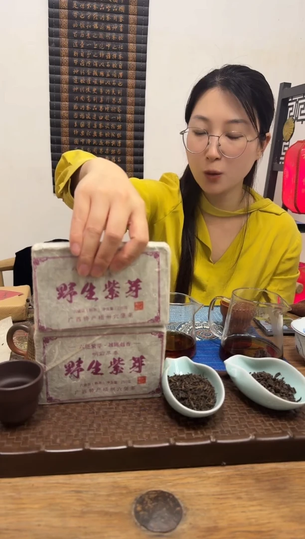 茶2004年野生紫芽250克