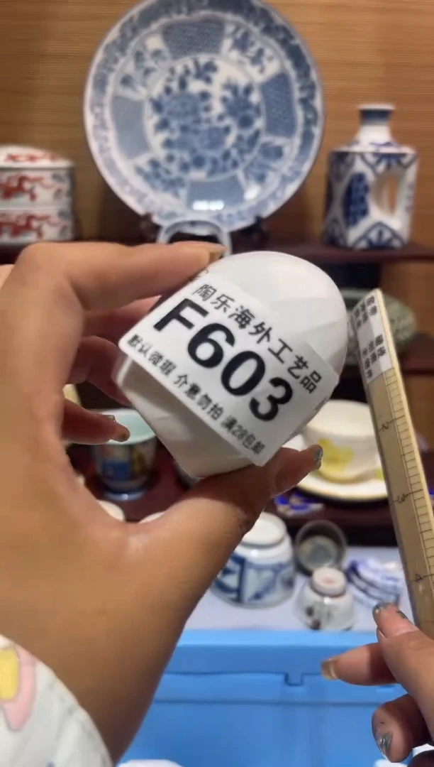 其他陶清**袋          F603