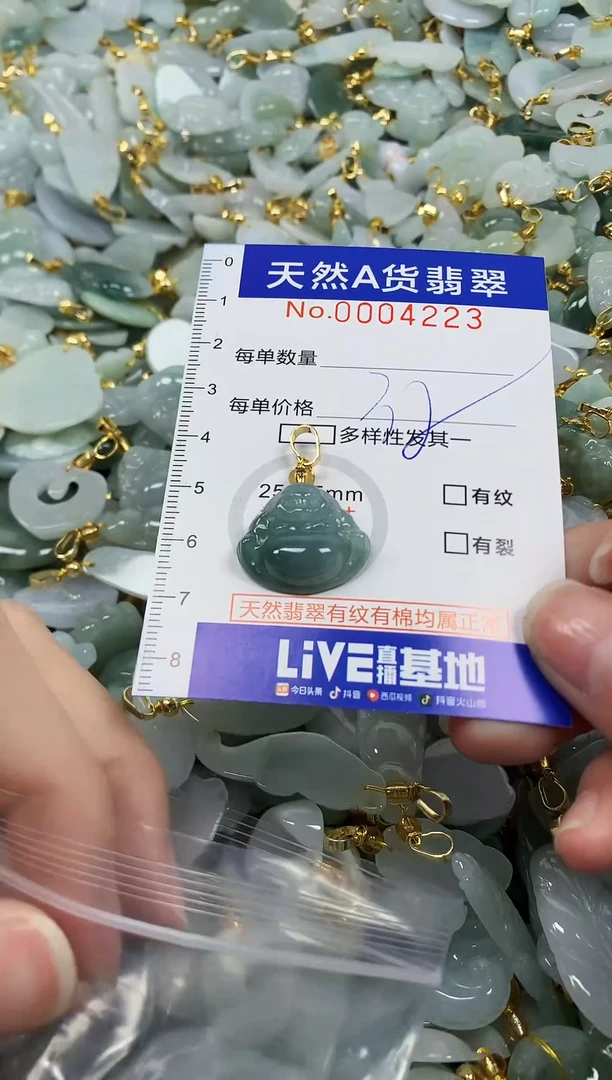 颈饰未镶嵌翡翠纯天然a货翡翠