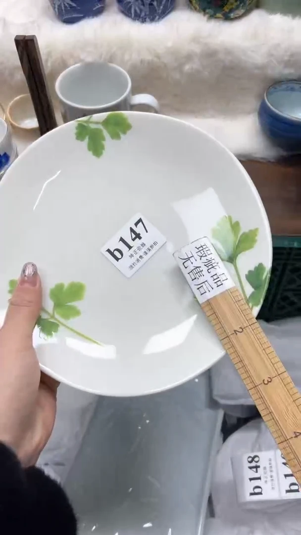 【闪购商品】瓷片          b147