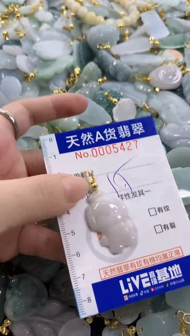 颈饰未镶嵌翡翠天然A货翡翠