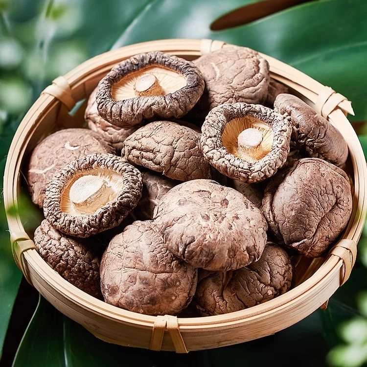 精选香菇干货新货新鲜营养农家肉厚无根干蘑菇菌菇香茹产地直销