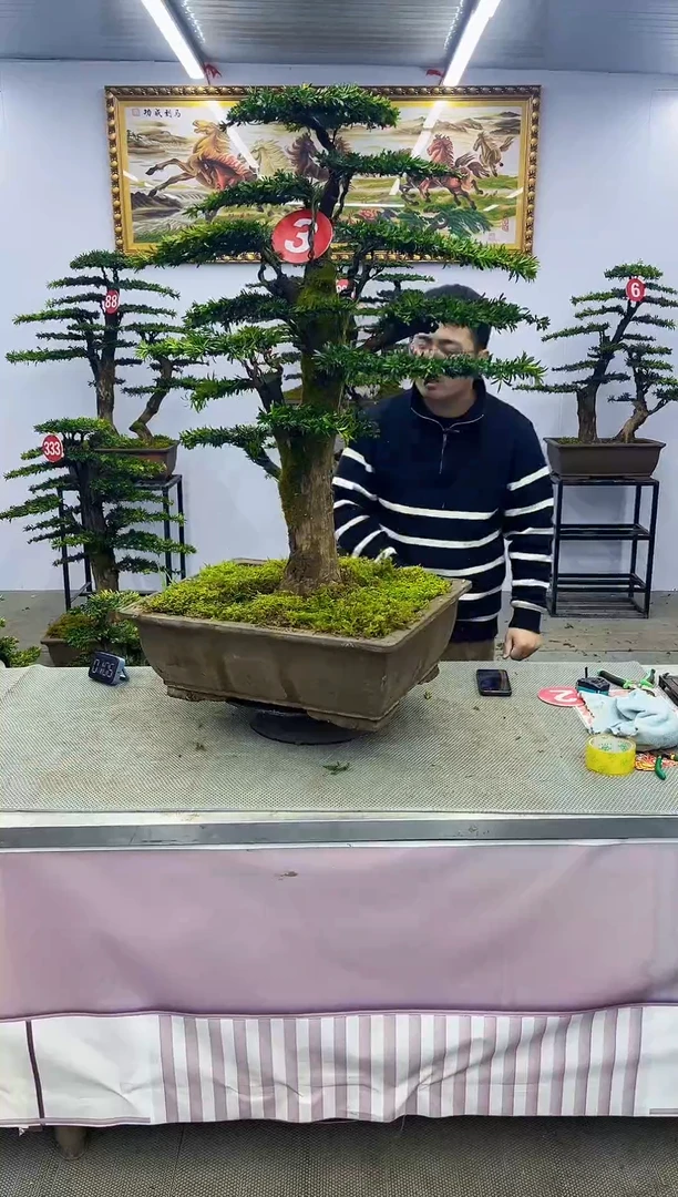 【闪购商品】一物一拍，所见即所得一物一拍，所见即所得