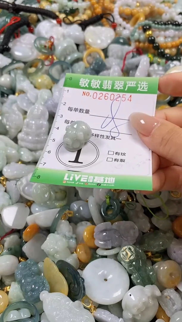 翡翠未镶嵌颈饰闪购0260254