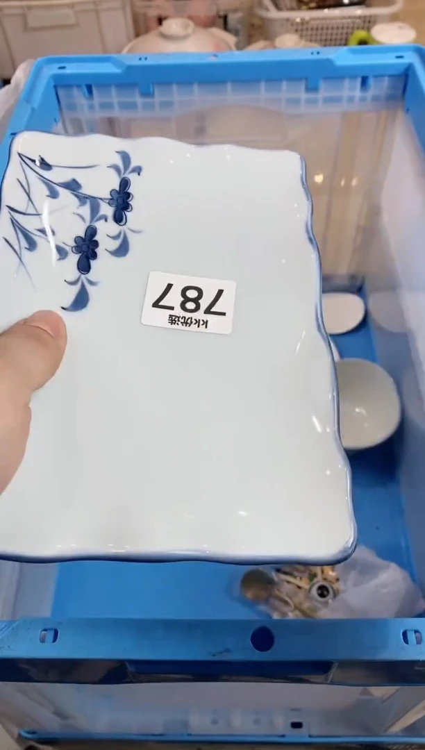 【闪购商品】瓷片787定向 朵米定向 朵米定向 朵米