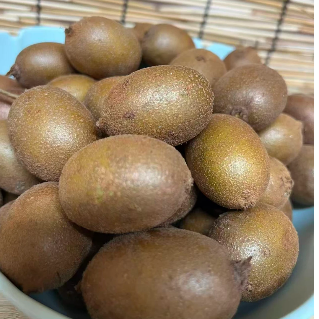 1 高海拔自然生长猕猴桃 46。