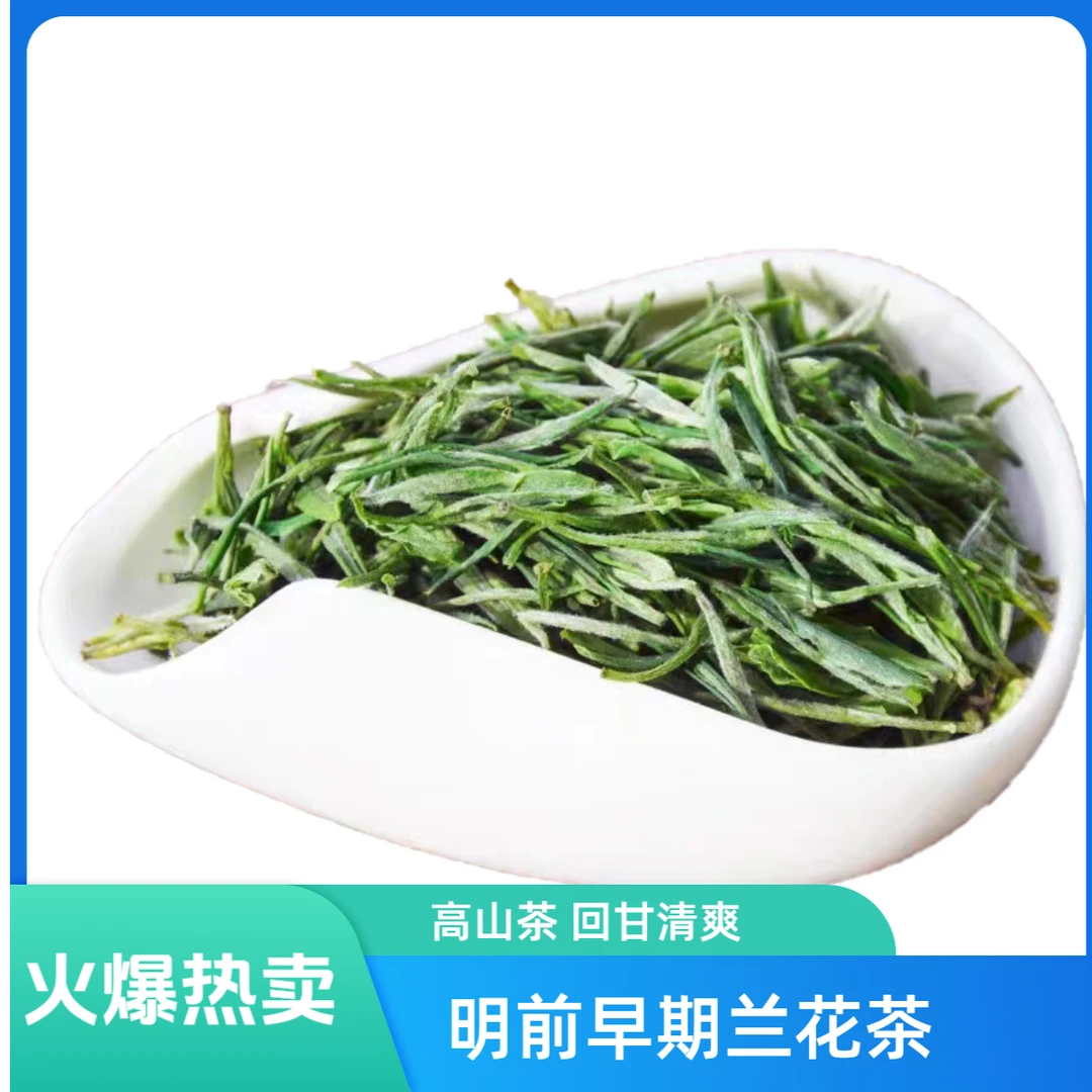 A1   2024年高山舒城小兰花明前新茶抢鲜上市