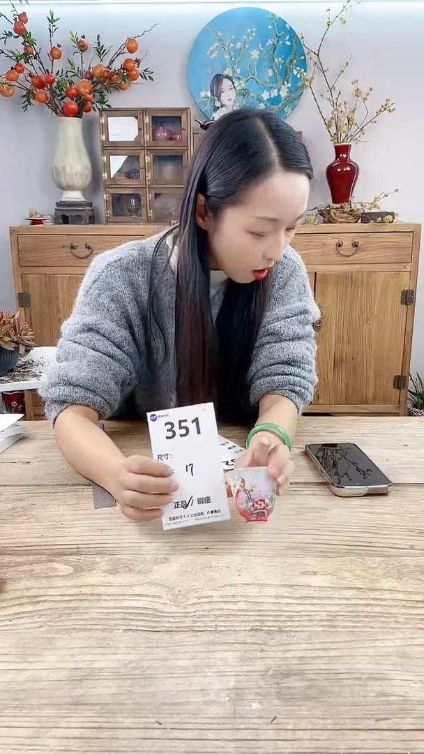 【闪购商品】红陶351