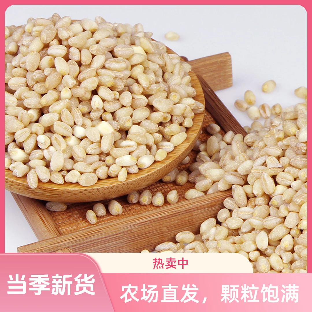 【农场直发】山东小麦仁去皮麦仁新粮当季小麦脱皮脱壳煮粥营养原味