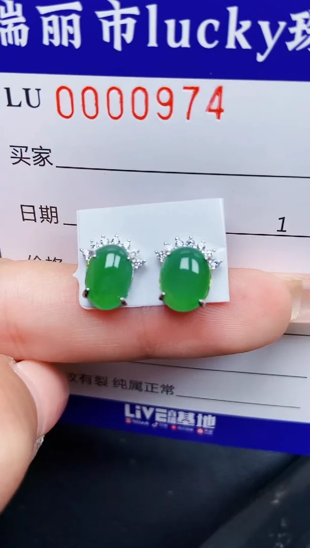 【闪购商品】翡翠颈饰银S925镶嵌0974