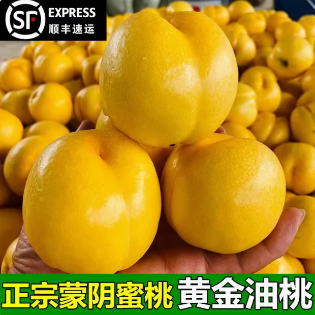 【顺丰/京东】黄油桃新鲜水果整箱当季山东蒙阴黄金油桃沂蒙山桃子