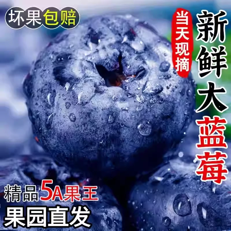 【云南花香蓝莓】云南新鲜蓝莓脆甜花果香新鲜应季多汁现摘现发礼盒