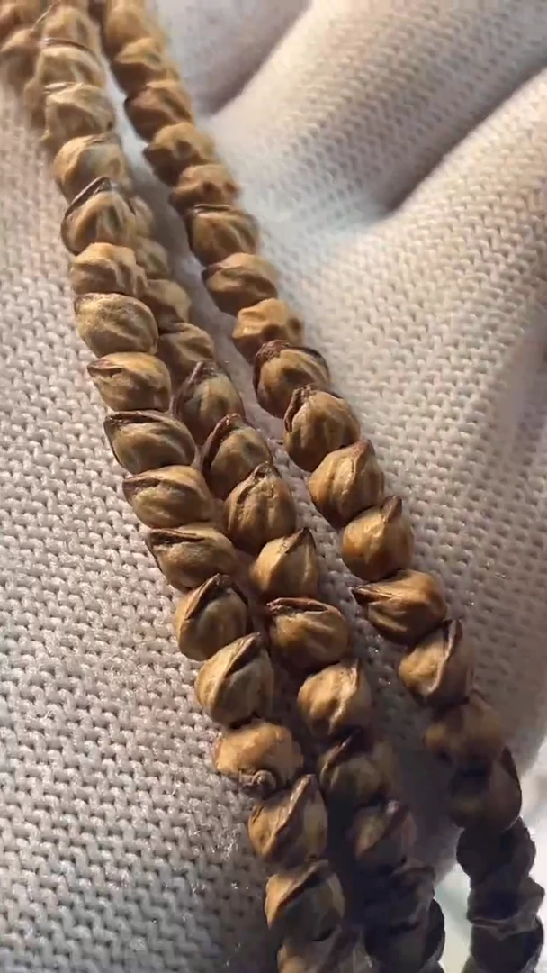 【闪购商品】金刚菩提手串百香籽