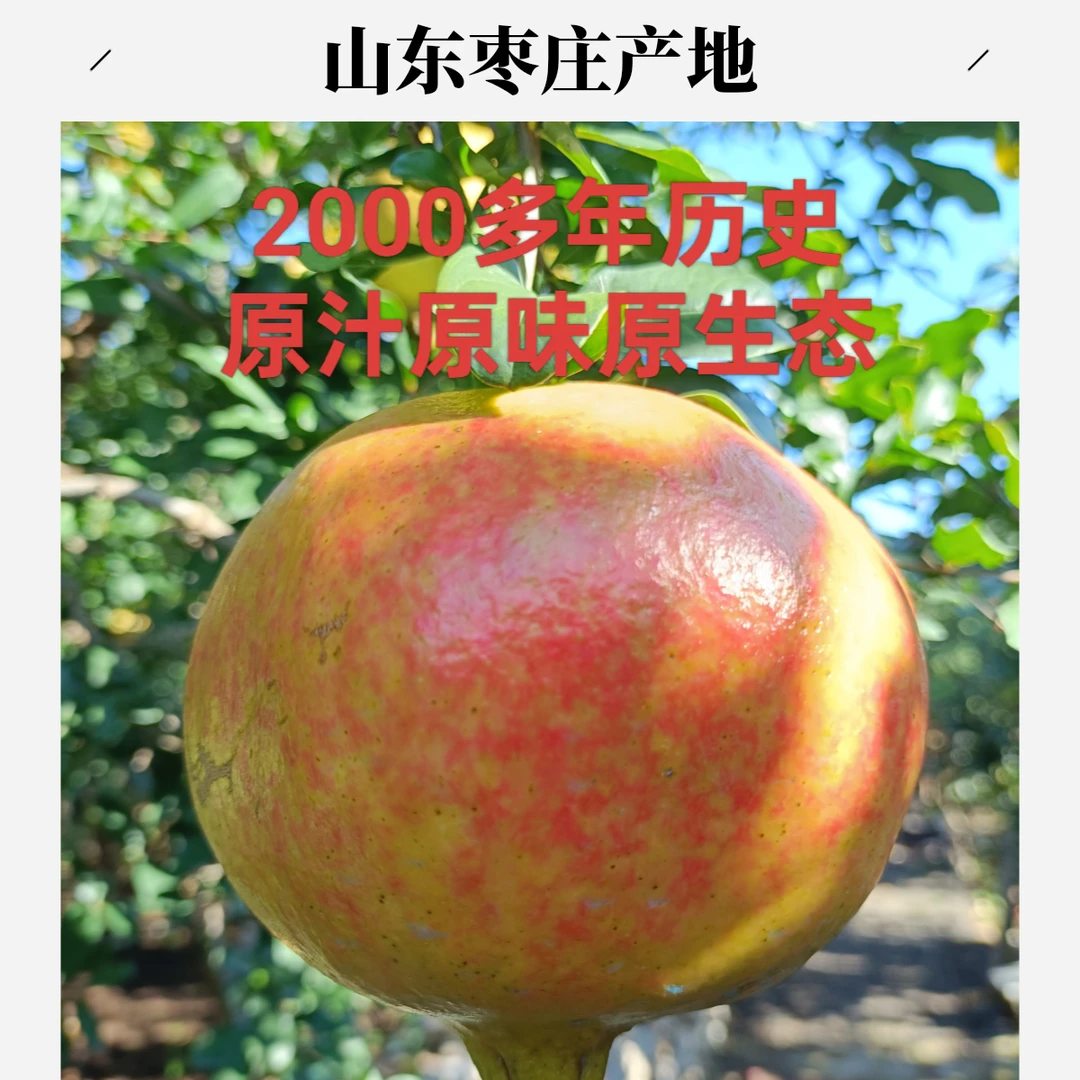 枣庄石榴甜石榴硬籽石榴大青皮甜石榴秋季特产黄金果甘甜多汁