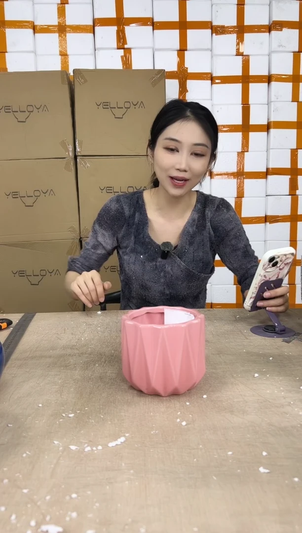 花盆花盆小号12.20--4