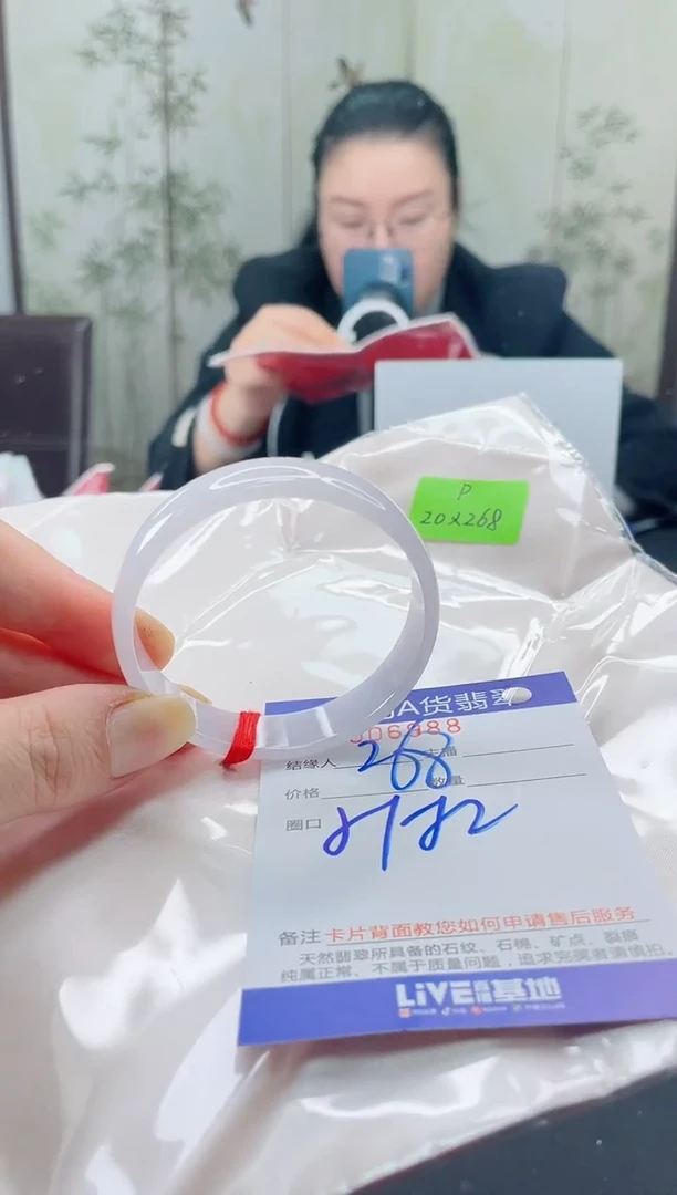 未镶嵌手镯翡翠9