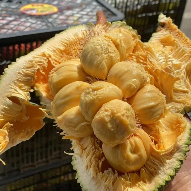 【韩大乐】榴莲蜜1个（3斤左右）