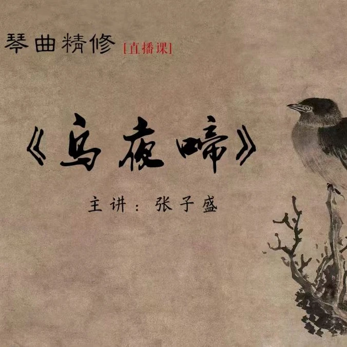 【经典琴曲】《乌夜啼》——张子盛主讲