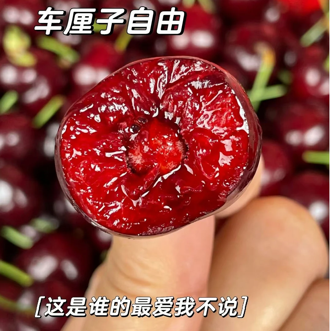 【海运】2JD加黑桑提娜车厘子38元一斤桑提娜智利