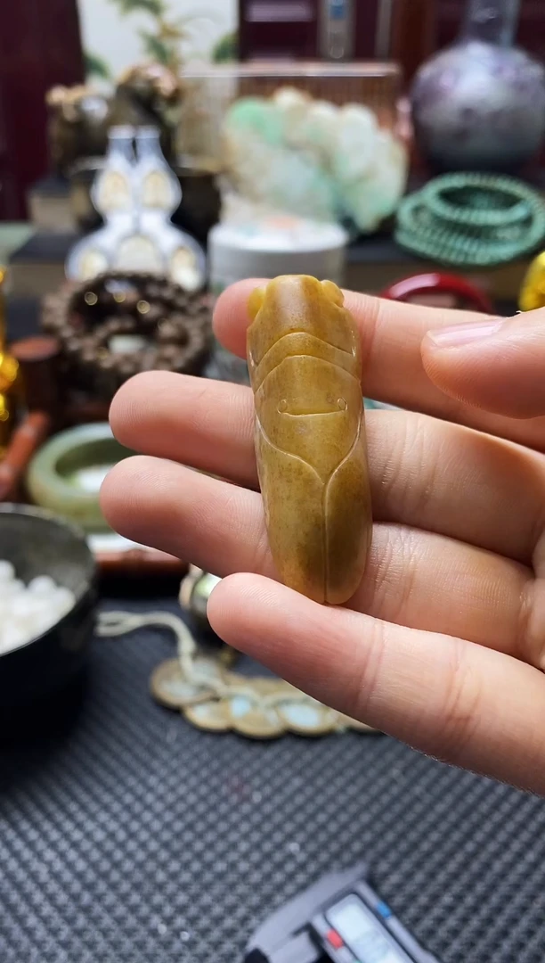 未镶嵌和田玉挂件蝉