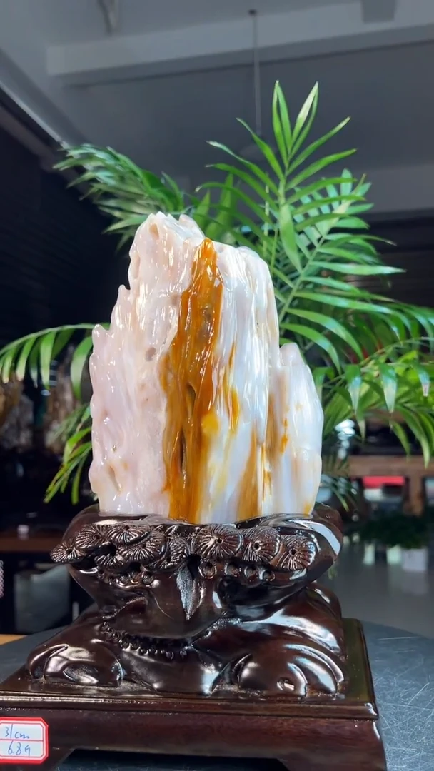 未镶嵌硅化玉（树化玉）珠宝奇石2015（高度31厘米）