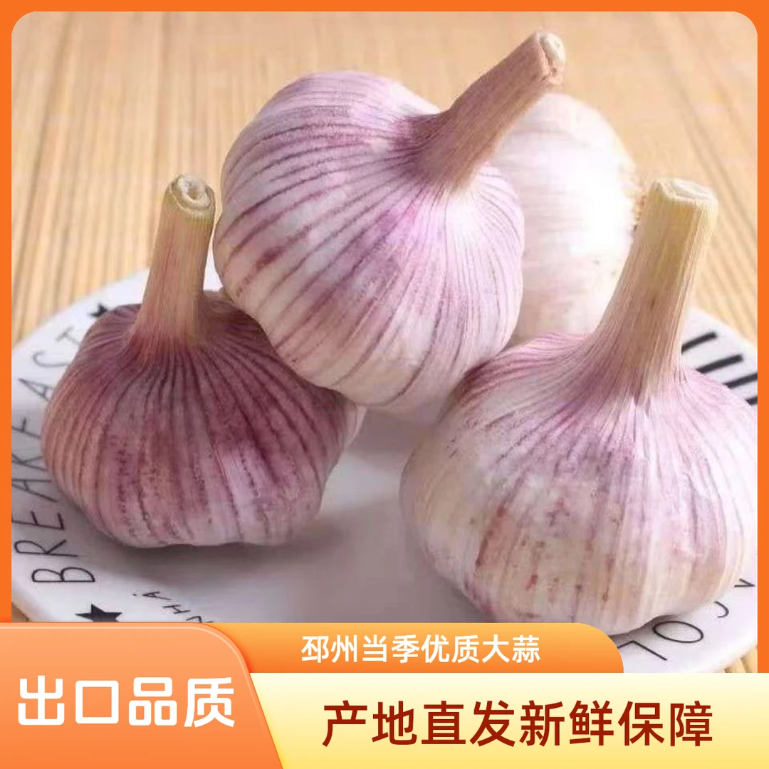 【实惠家庭装】2025年新干蒜蒜农直发紫白皮大蒜头