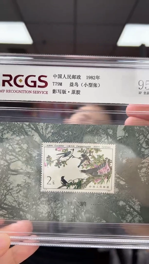 T79M 益鸟 邮票 小型张 精大盒 RCGS评级 原胶