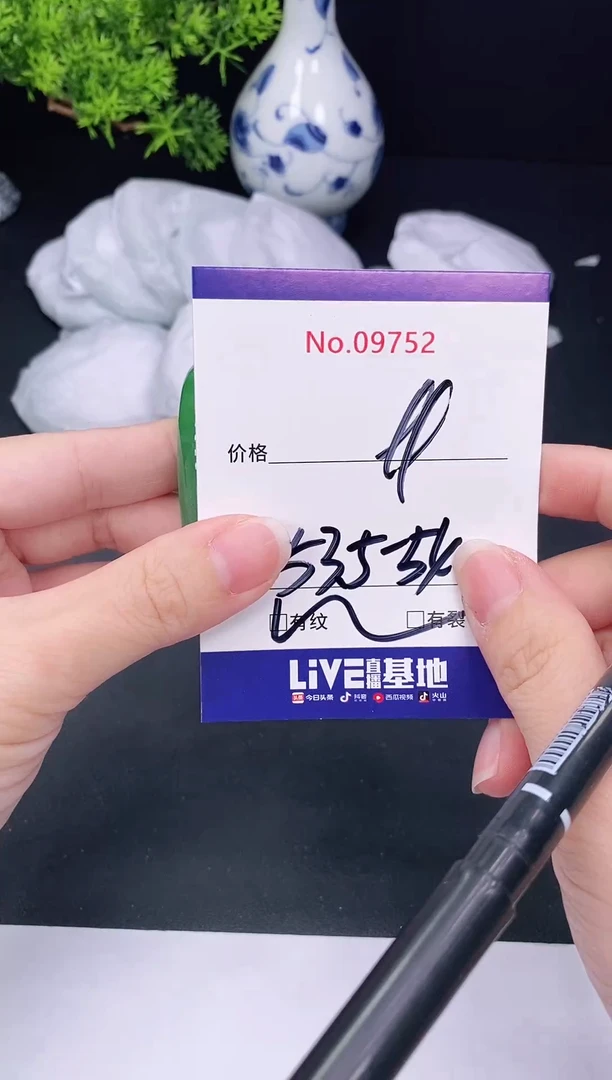 未镶嵌手镯翡翠9752