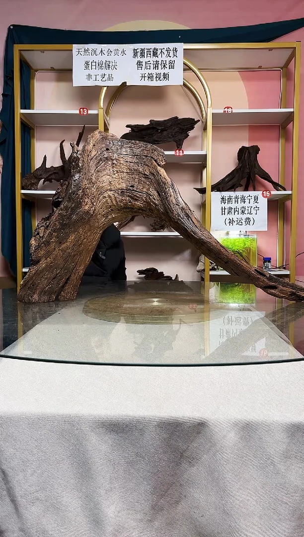 一**巴鱼缸造景沉木A825