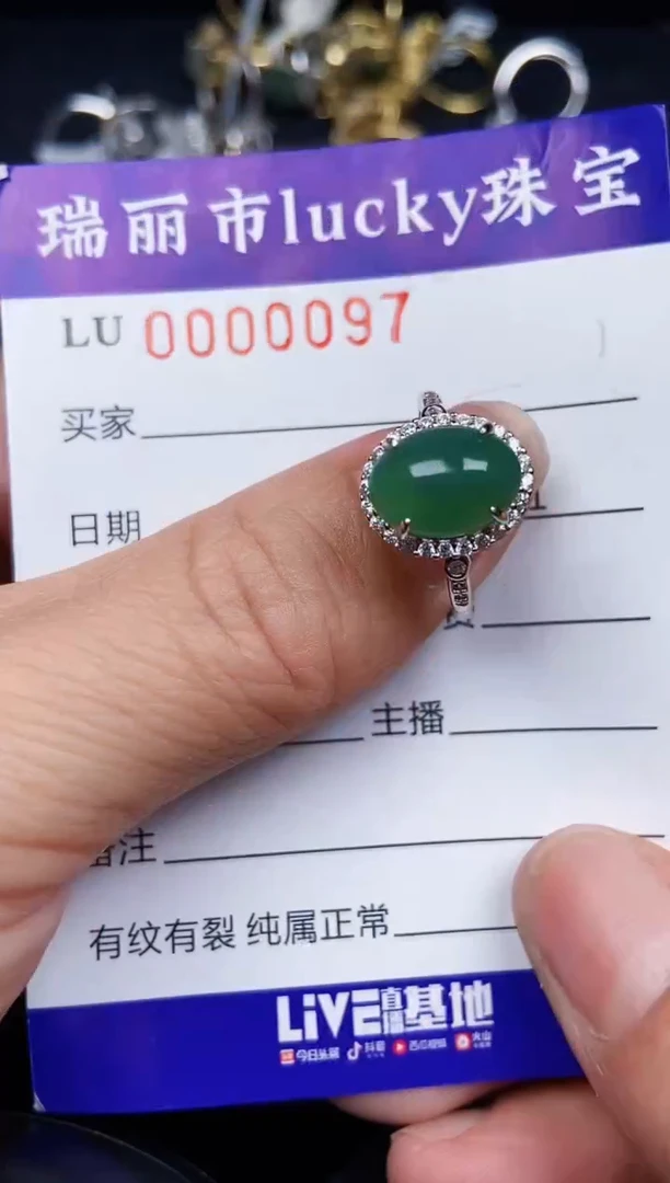翡翠银S925镶嵌颈饰0097