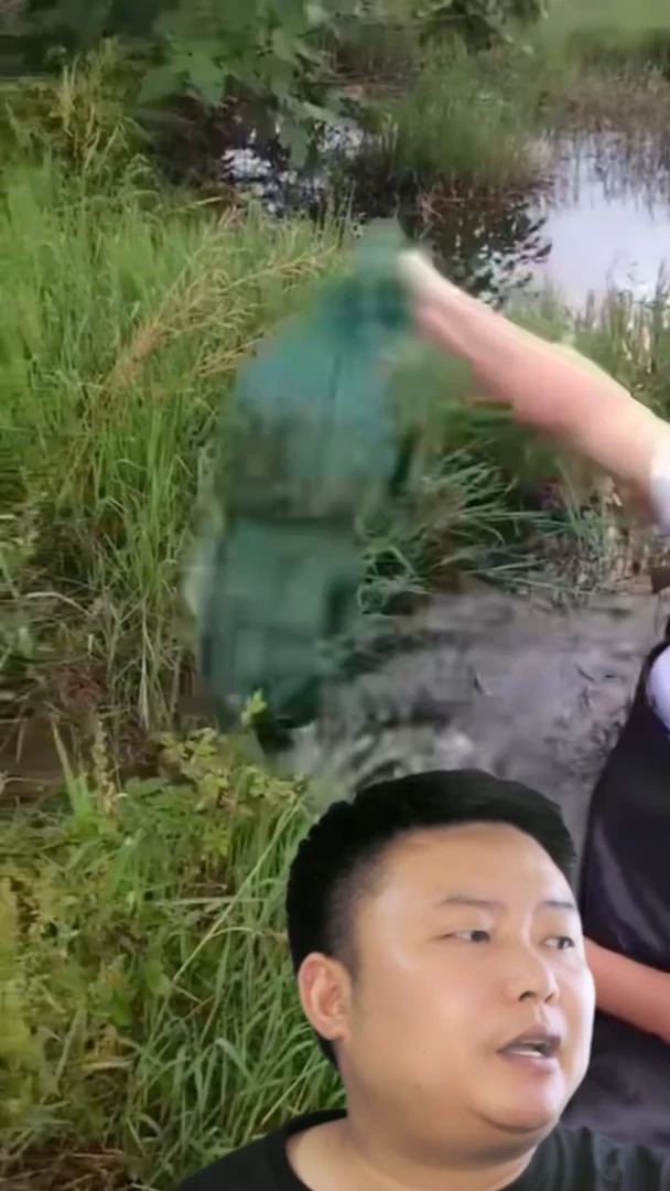 户外黄鳝泥鳅甲鱼