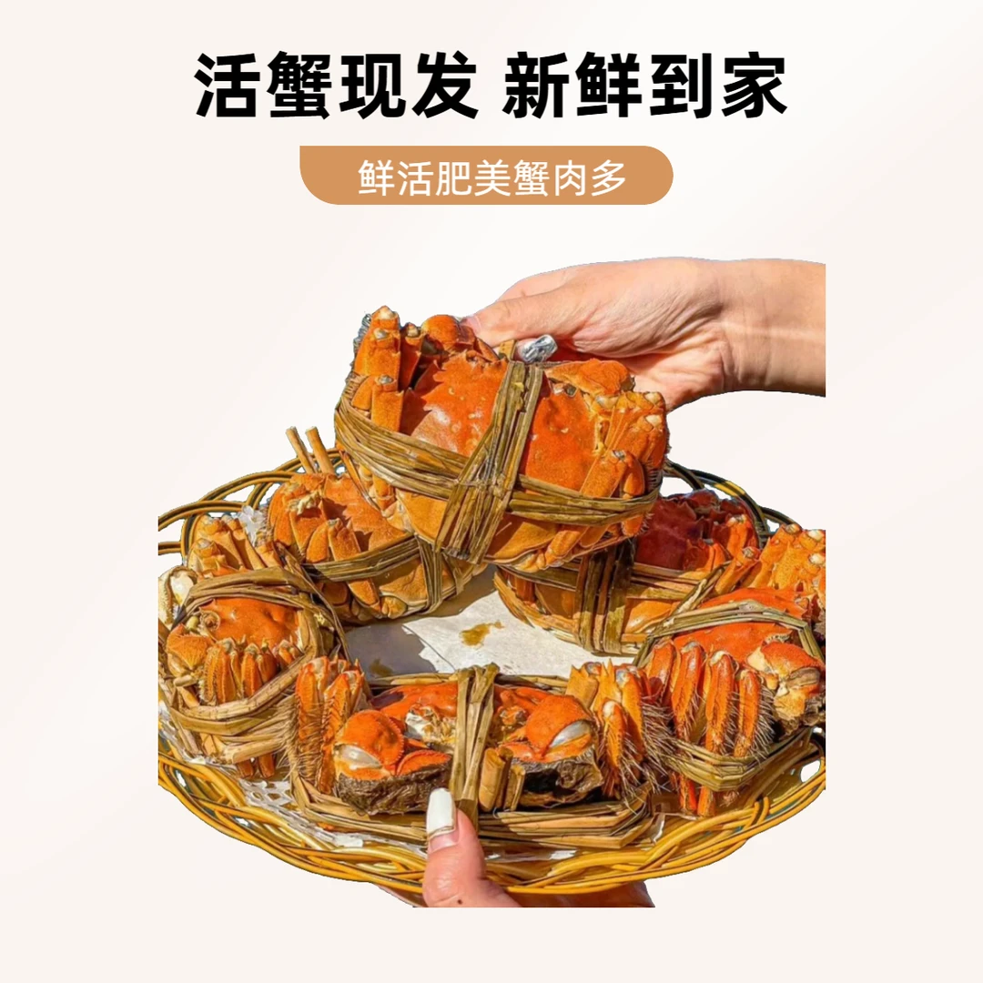 【活蟹】三金水产 大闸蟹 公蟹+母蟹 3.5两公*4只+2.5两母*4只 8只 礼盒装