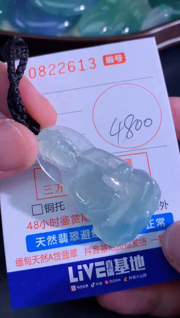 颈饰未镶嵌翡翠天然A货翡翠